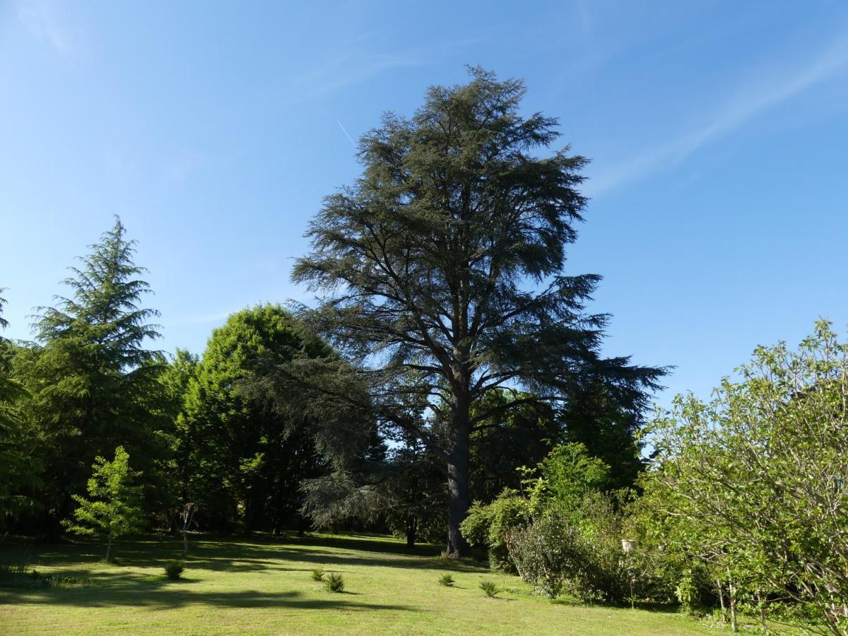 Villa Le Petit Chateau à Le Bugue Extérieur photo